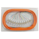 3m LC/PC 12-fiber Multimode 62.5µ OM1 Jacketed Pigtail 19inch 900um fan-out - OFNR